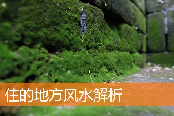 住的地方风水解析