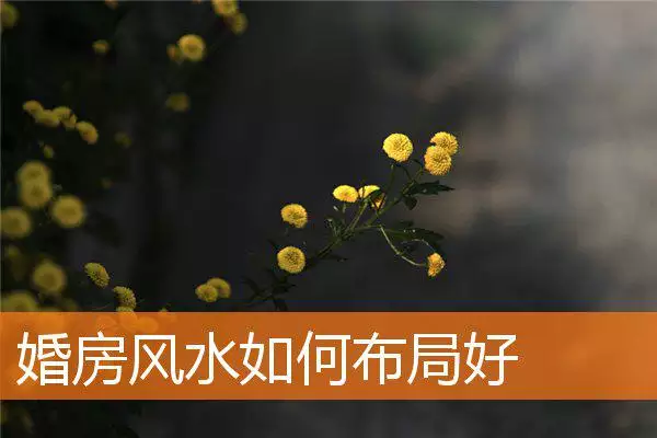婚房风水如何布局好