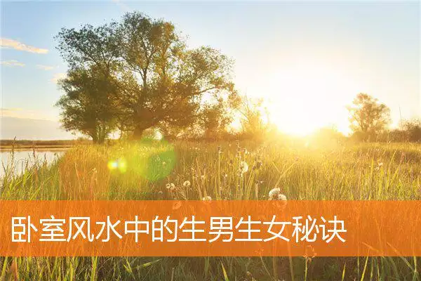 卧室风水中的生男生女秘诀