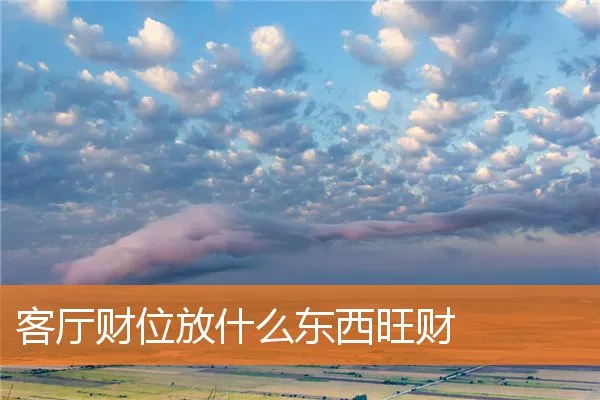 客厅财位放什么东西旺财