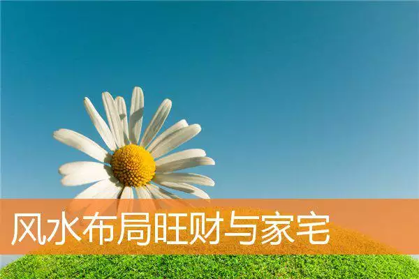 风水布局旺财与家宅