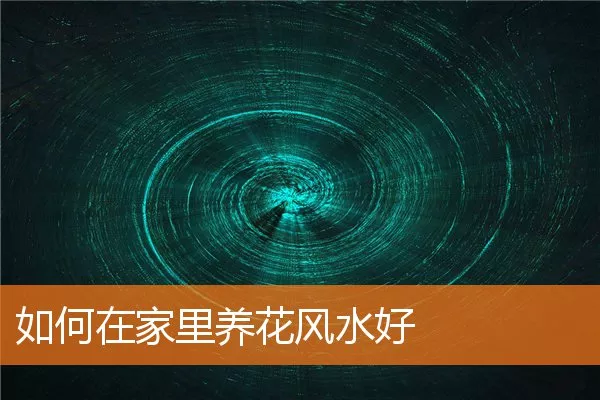 如何在家里养花风水好