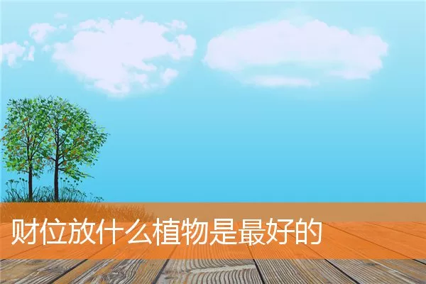财位放什么植物是最好的