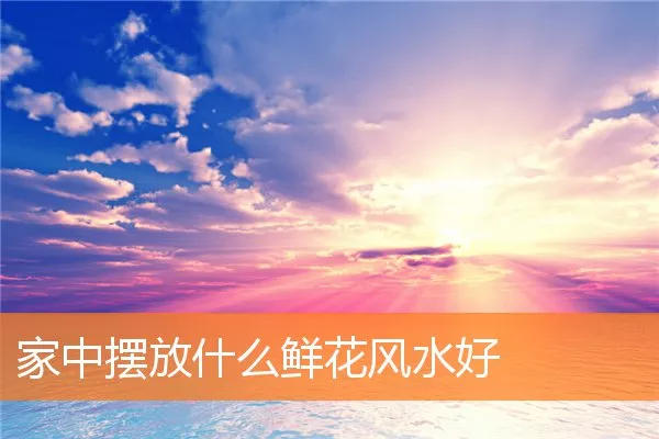 家中摆放什么鲜花风水好