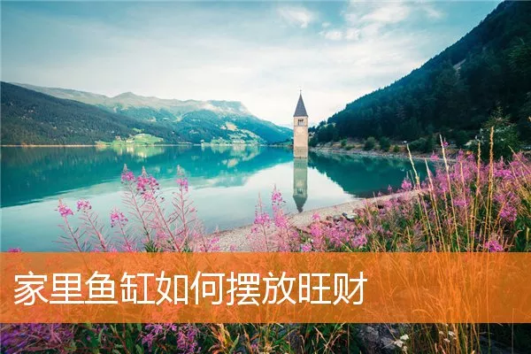 家里鱼缸如何摆放旺财