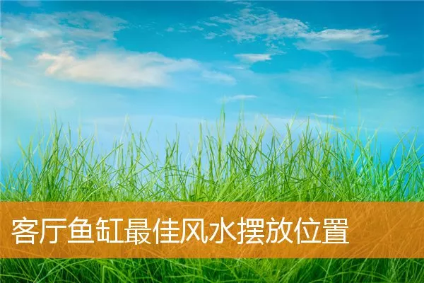客厅鱼缸最佳风水摆放位置