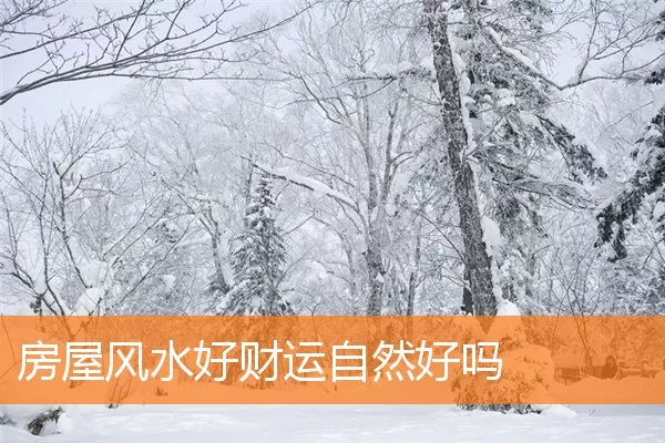 房屋风水好财运自然好吗