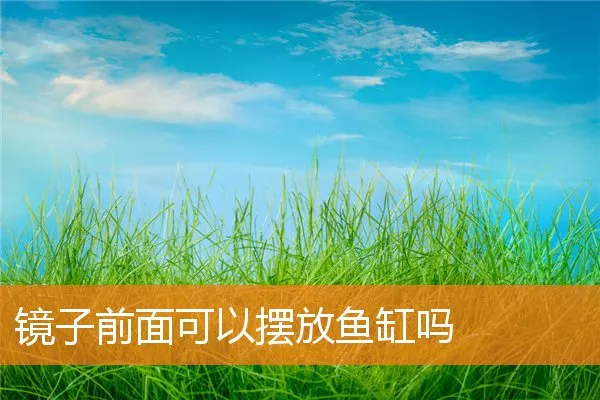镜子前面可以摆放鱼缸吗