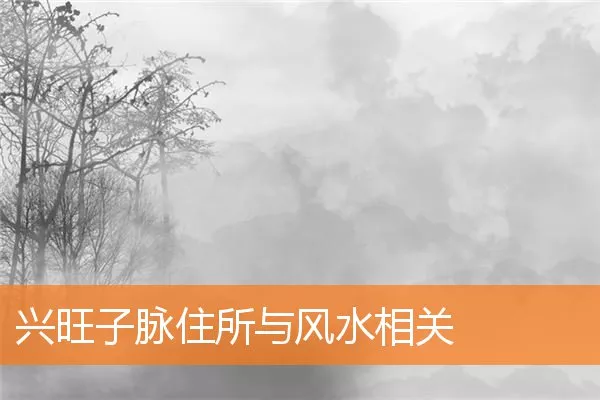 兴旺子脉住所与风水相关