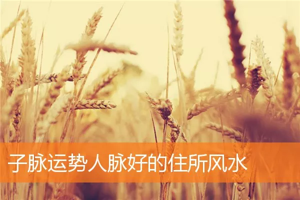 子脉运势人脉好的住所风水