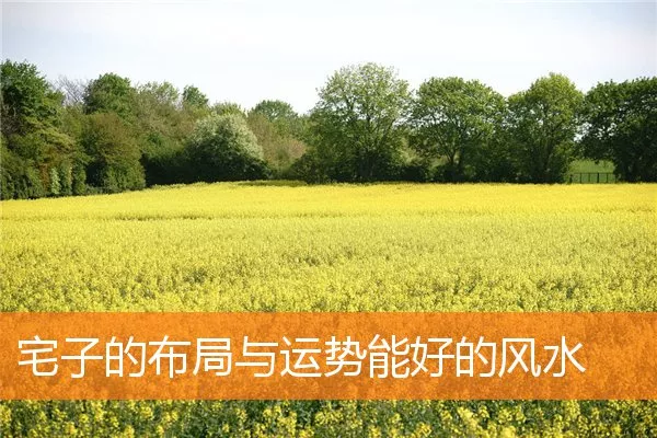 宅子的布局与运势能好的风水