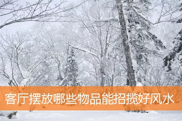 客厅摆放哪些物品能招揽好风水