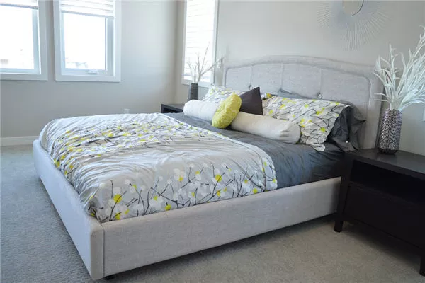 促进夫妻感情卧室植物