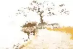 装修风水注意事项中色彩的讲究
