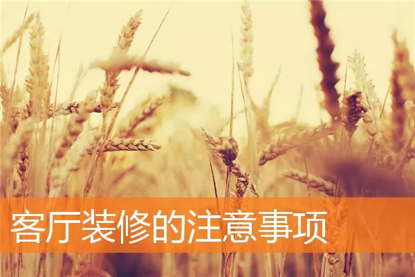 客厅装修的注意事项