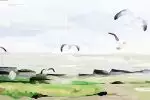 装修风水之卧室中带卫生间的影响