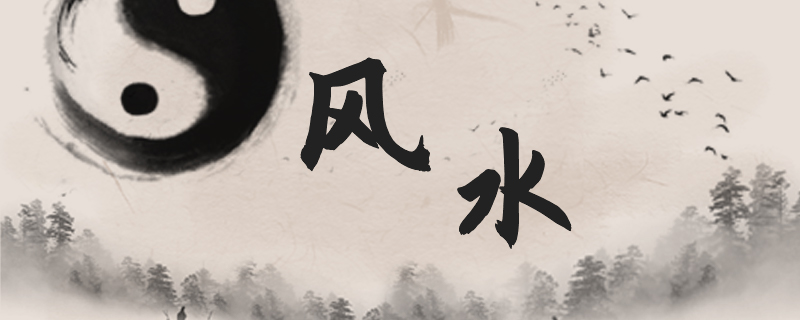 仙人球的寓意和象征风水禁忌 仙人球摆放的