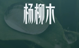 杨柳木命女孩在戊申年这样做，贵人主动找上