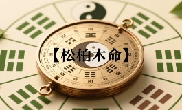 松柏木命适合什么行业？发财方向与事业运势