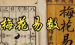梅花易数起卦怎么做？数字、声音、物品都能