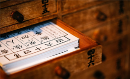 元宝树的摆放忌讳