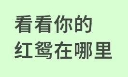 红鸾到底是什么？在八字里竟藏着脱单与结婚