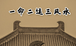 柏树的风水寓意