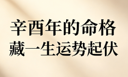 辛酉年的命格藏一生运势起伏