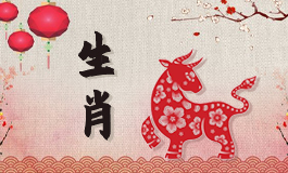 2022年12月属兔人运势 属兔2022