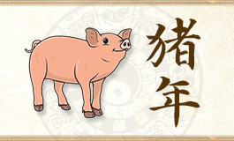 2025年生肖猪女的运势 2025属猪女