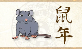 2025年属鼠穿什么颜色 2025年属鼠