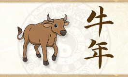 2025年属牛穿什么颜色 2025年属牛