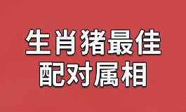 属猪和什么属相最配？最佳搭档是这些