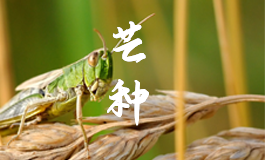 立冬习俗 立冬节气的含义是什么
