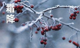 立秋养生吃什么 立秋养生知识