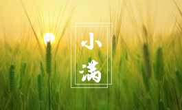 雨水节气的特点和风俗