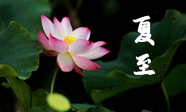 春分的美好寓意和象征