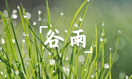 谷雨节气适合种植什么蔬菜