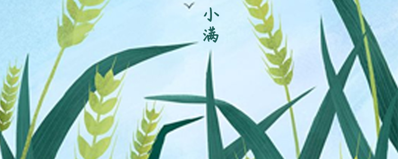 小满节气 小满节气的特点和风俗