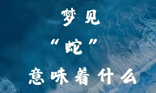 梦见死蛇，预示着这3件大事即将发生在你身