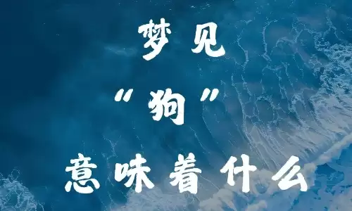 梦到一群狗，代表财运上门还是麻烦缠身