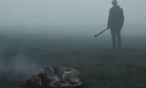 梦见把狗打死是挡灾还是犯小人？看这两点便