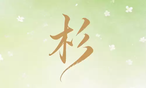 杉字配什么字最好听？答案在这里