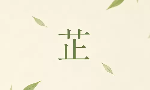 芷字解析，藏于古风诗韵里的温柔宝藏用字