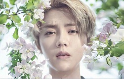 十二星座女对什么类型的男人无法抵抗？