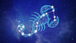 11月17日是什么星座？会有什么吸引人的