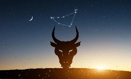 金牛座是几月几号？2025金牛座的正缘桃