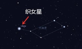 织女星属于哪个星座？揭秘夜空中最亮的爱情