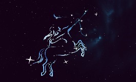 11月28日是什么星座？原来性格这么招人
